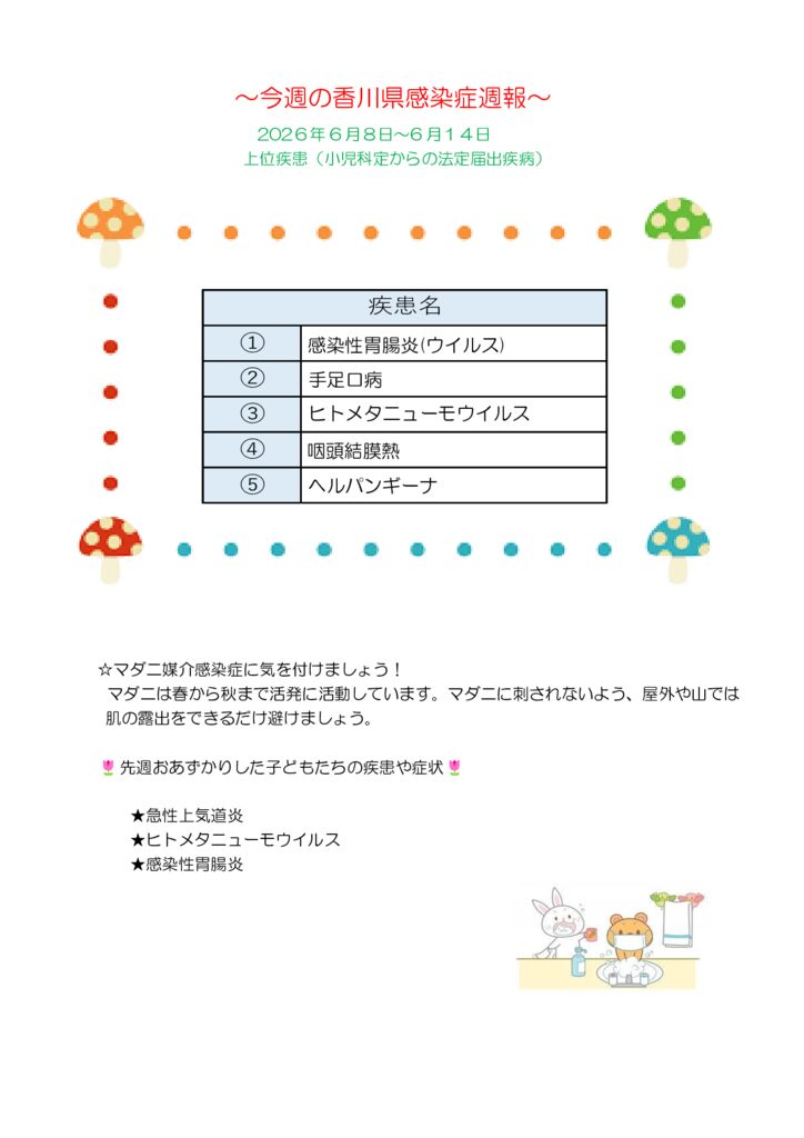 週報２４号のサムネイル